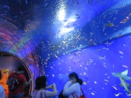 aquarium osaka