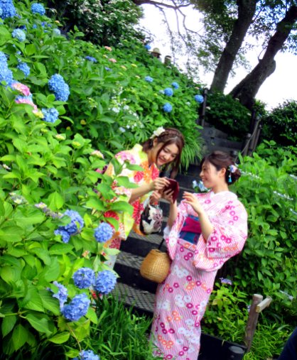 cute japanese girls